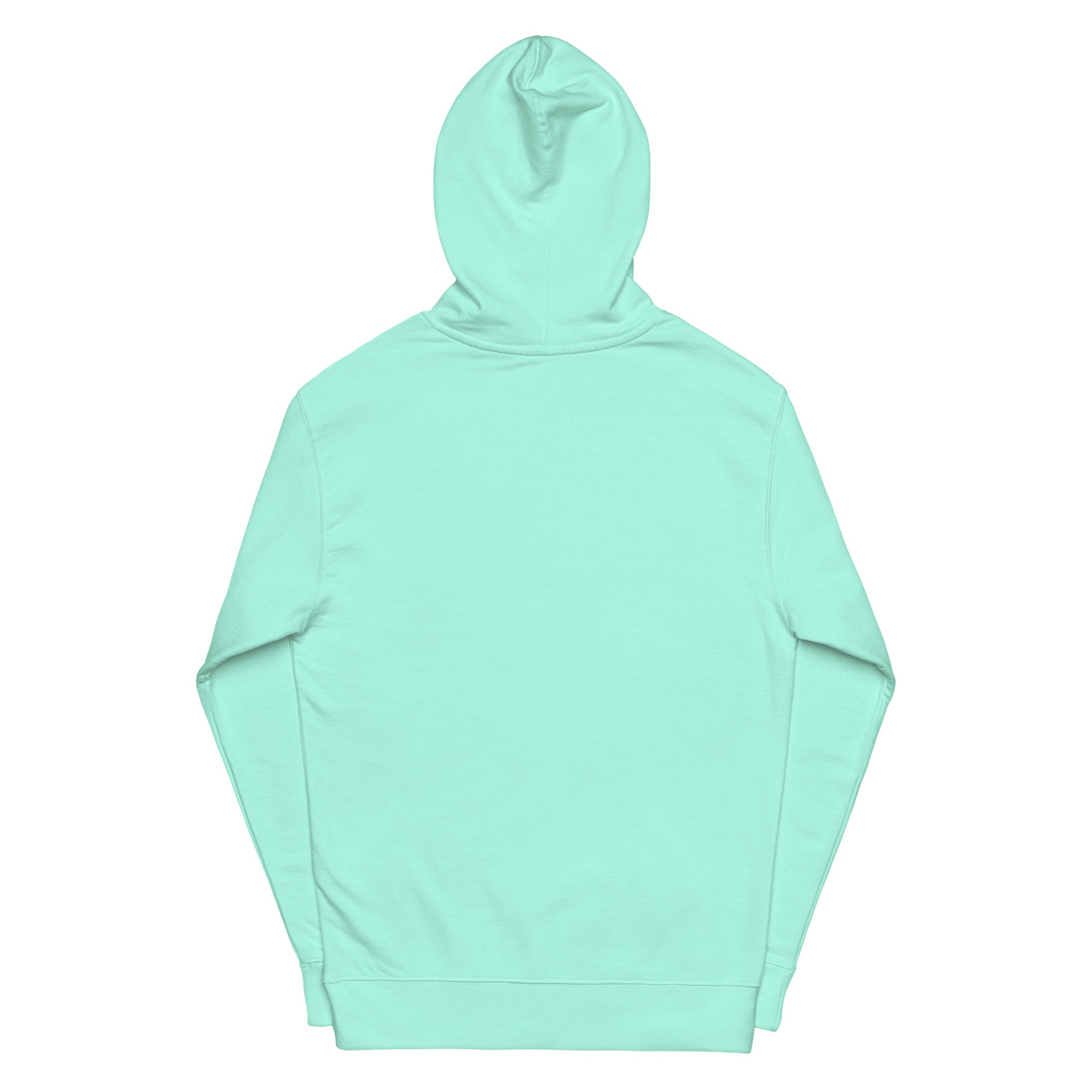 unisex-midweight-hoodie-mint-back-64adbe022373a.jpg